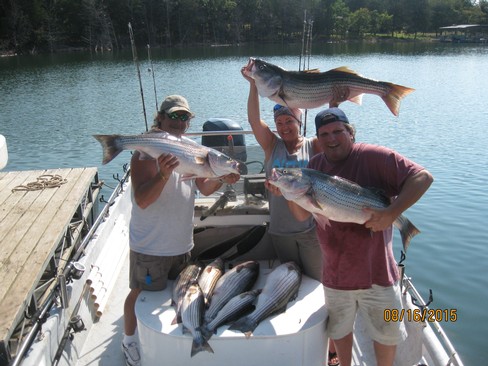 Nice Striped Bass